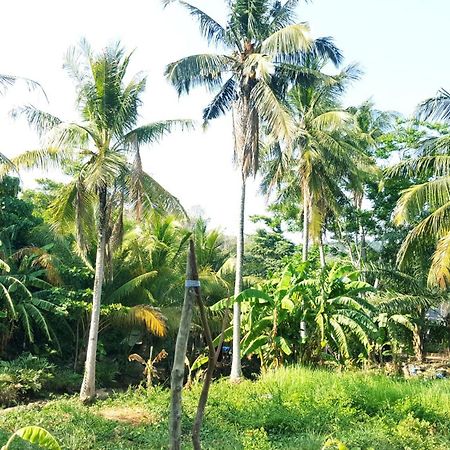 Home No.9 Ko Lanta エクステリア 写真