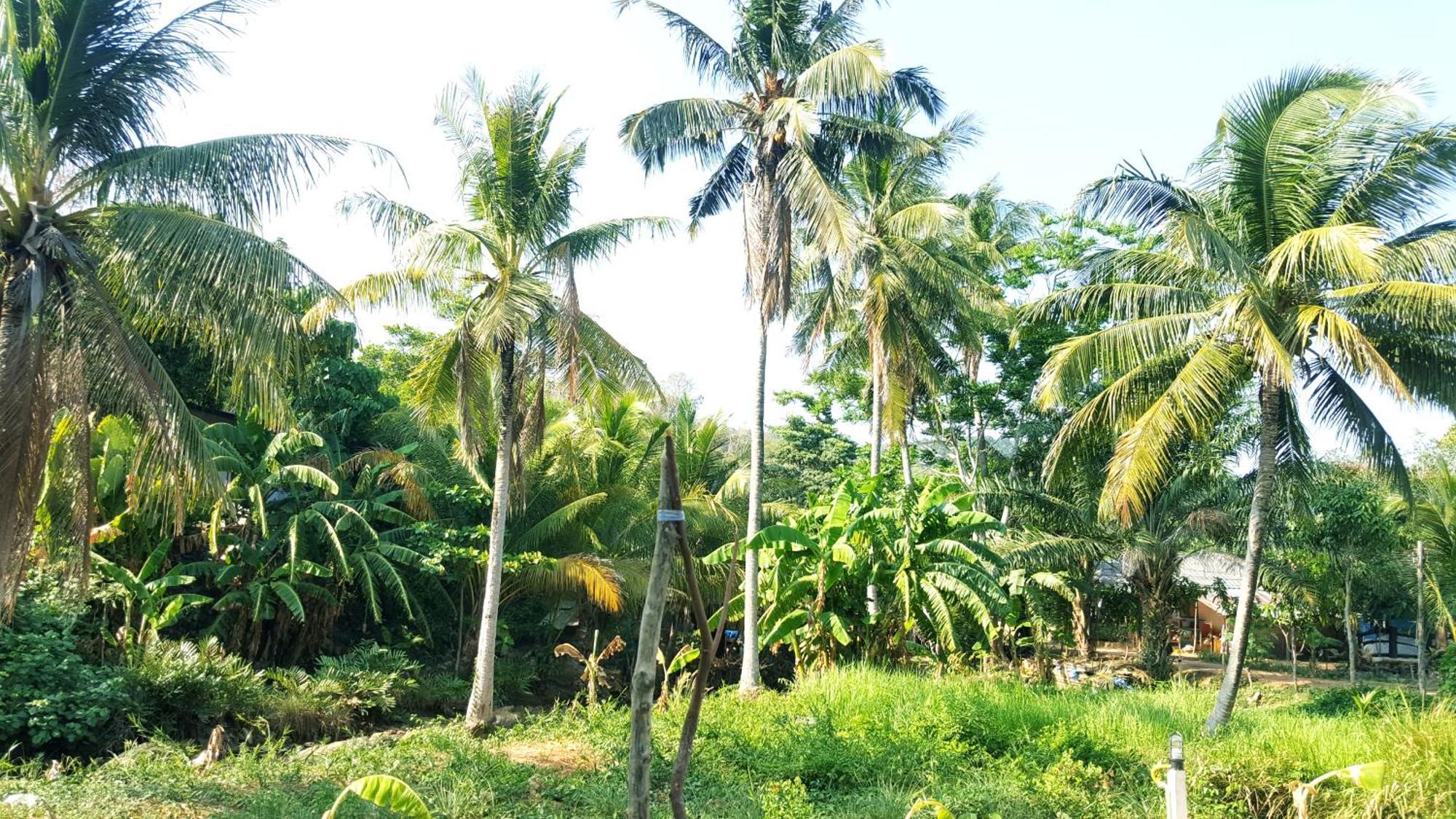 Home No.9 Ko Lanta エクステリア 写真